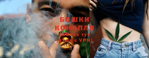 крисы Мегион