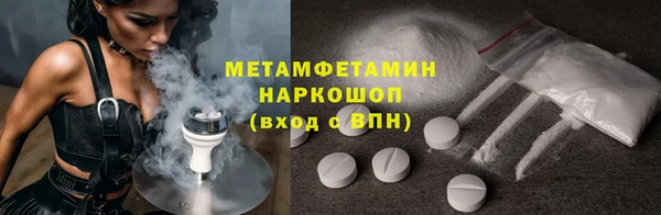 крисы Мегион
