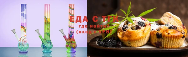 крисы Мегион