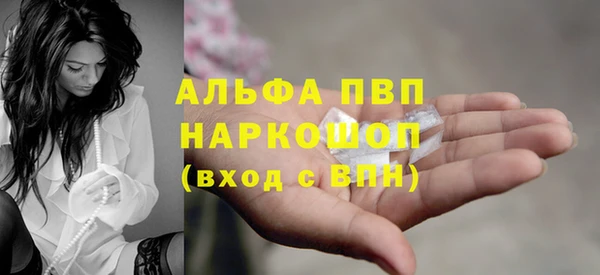 крисы Мегион