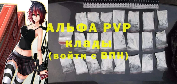 крисы Мегион