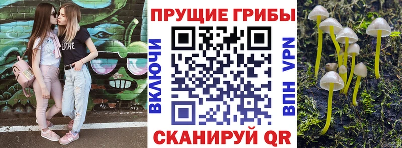 Галлюциногенные грибы Cubensis  Купить  Кораблино 